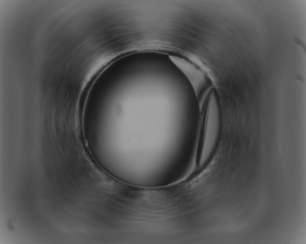 X0000091721469200709071424