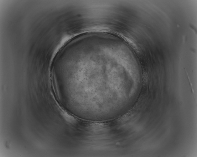 X0000091721470200709071424