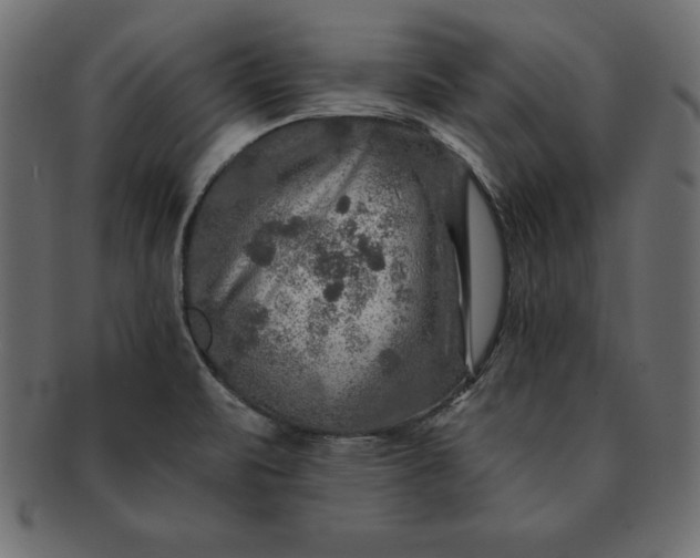 X0000091721471200709071424