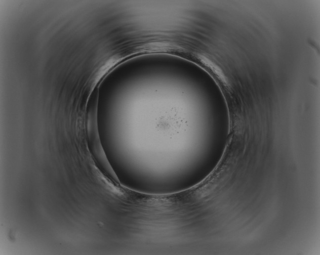 X0000091721473200709071424