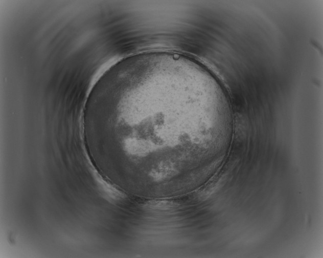 X0000091721474200709071424