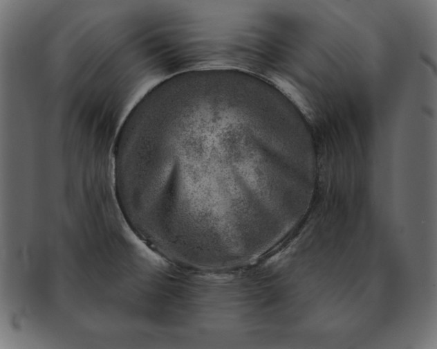 X0000091721476200709071424