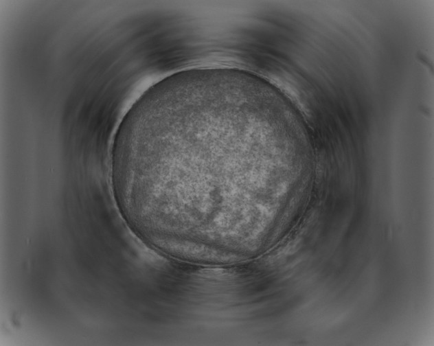 X0000091721478200709071424