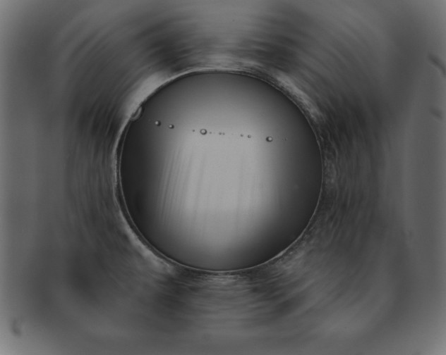 X0000091721479200709071424