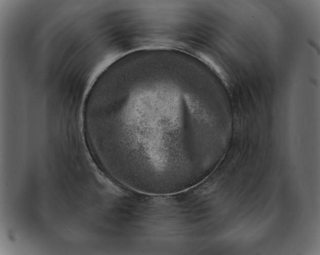 X0000091721480200709071424