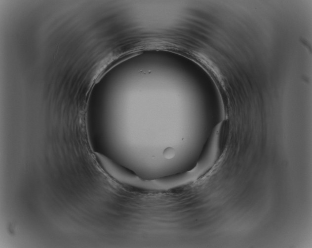 X0000091721481200709071424