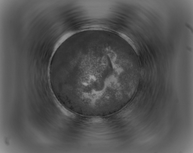 X0000091721482200709071424