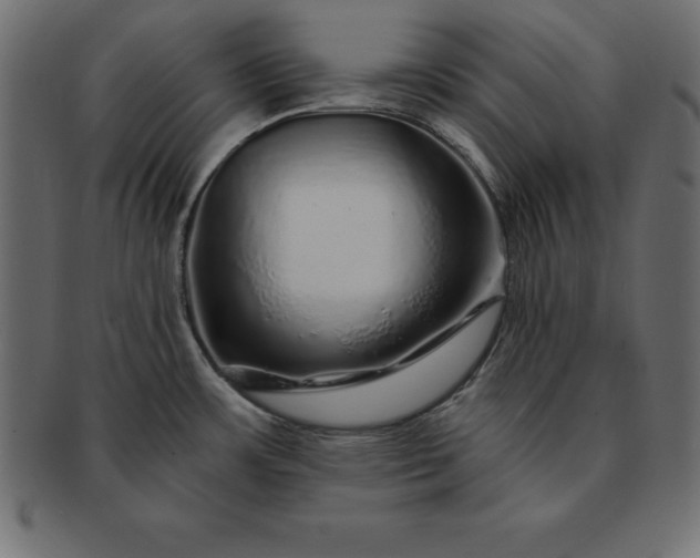 X0000091721483200709071424