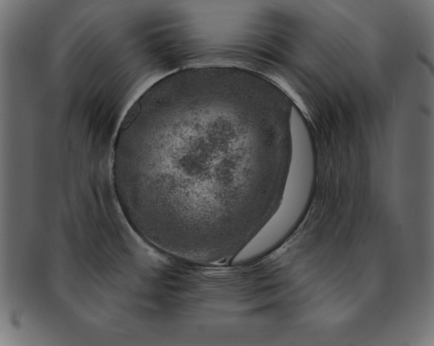 X0000091721484200709071424