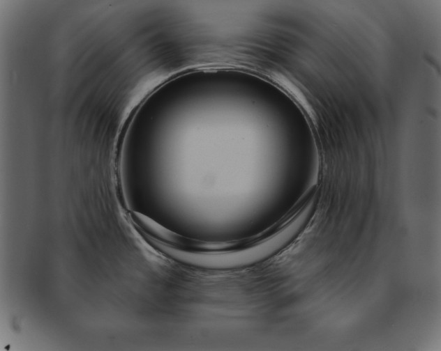 X0000091721485200709071424