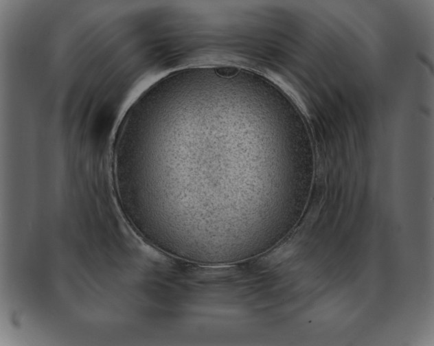 X0000091721486200709071424