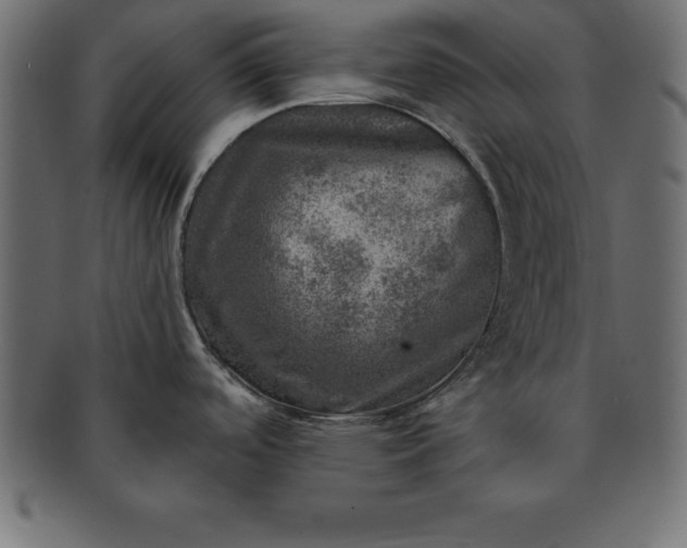 X0000091721488200709071424