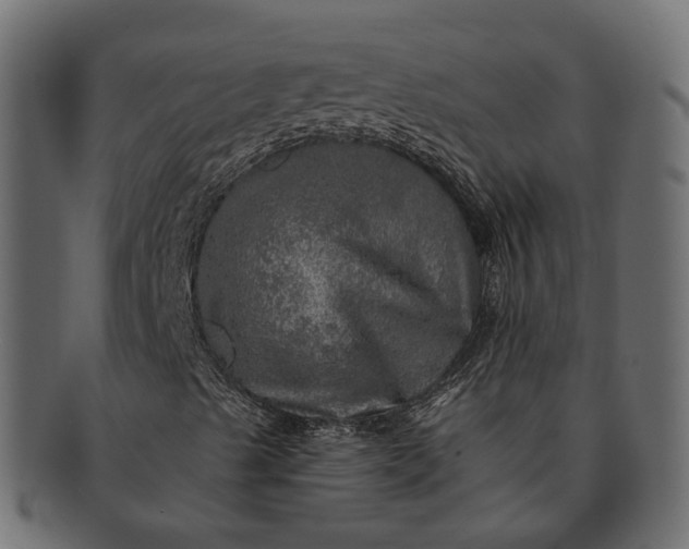 X0000091721489200709071423