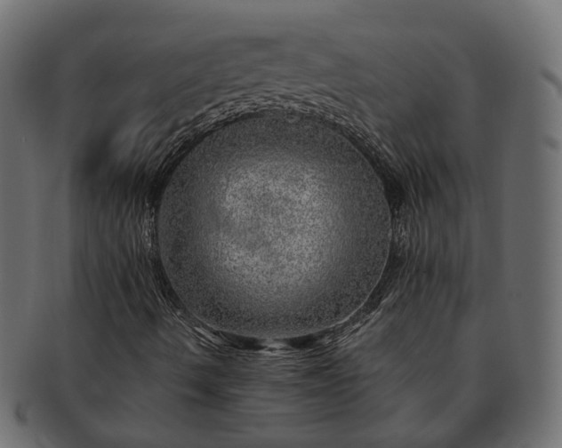 X0000091721490200709071423