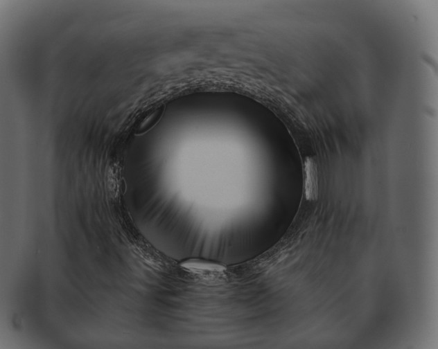 X0000091721491200709071423