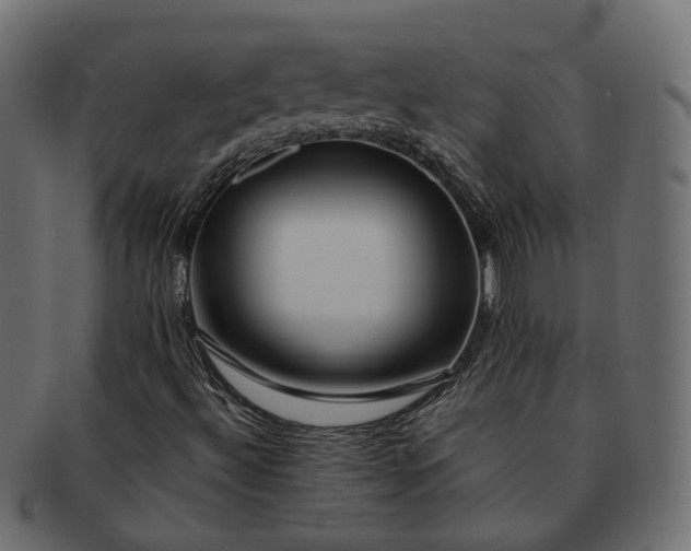 X0000091721492200709071423