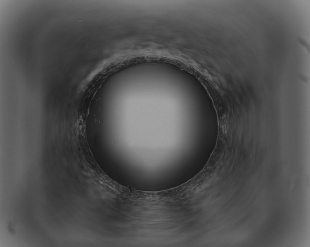 X0000091721495200709071423