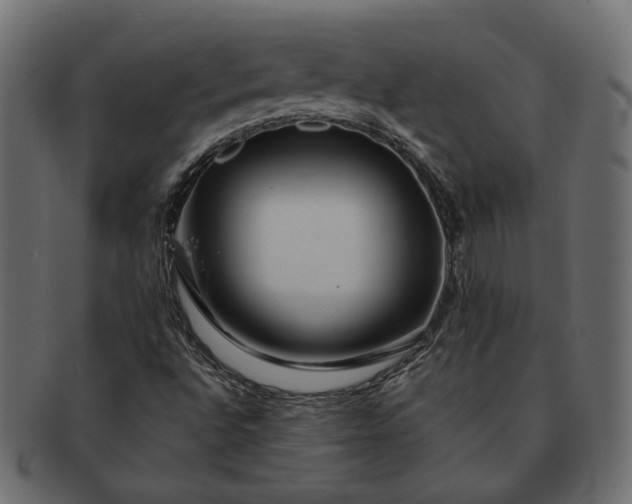 X0000091721496200709071423