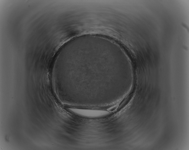 X0000091721497200709071423