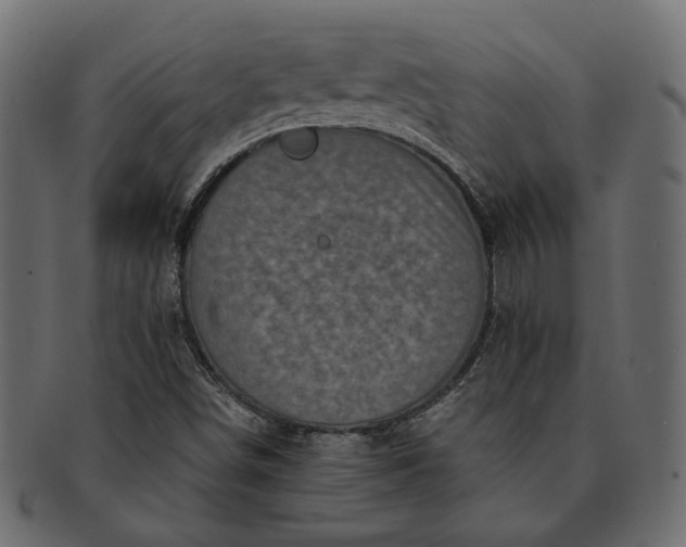 X0000091721498200709071423