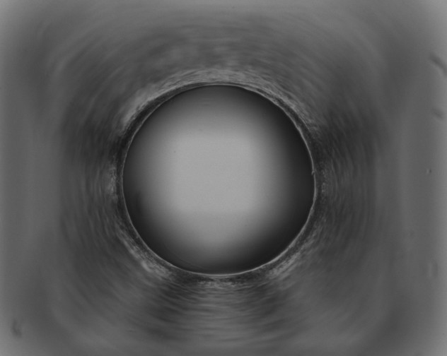 X0000091721499200709071423