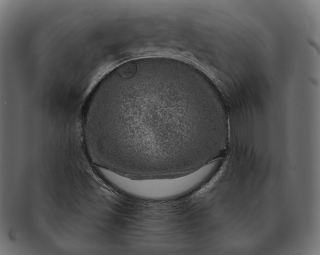 X0000091721501200709071423