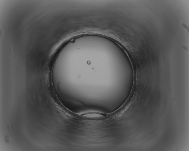 X0000091721502200709071423