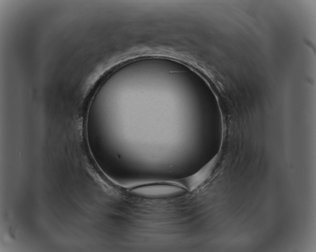 X0000091721503200709071423