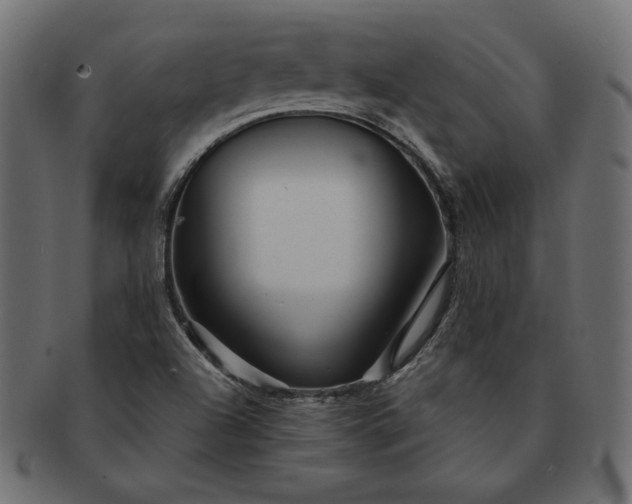 X0000091721504200709071423