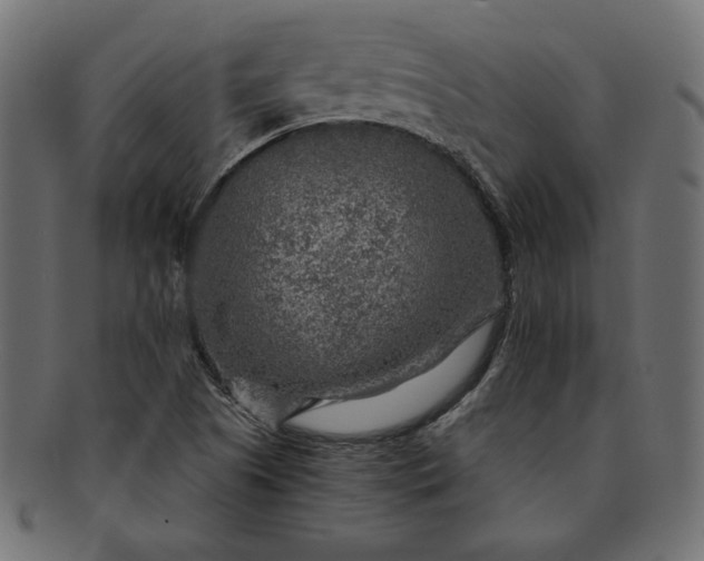 X0000091721505200709071423