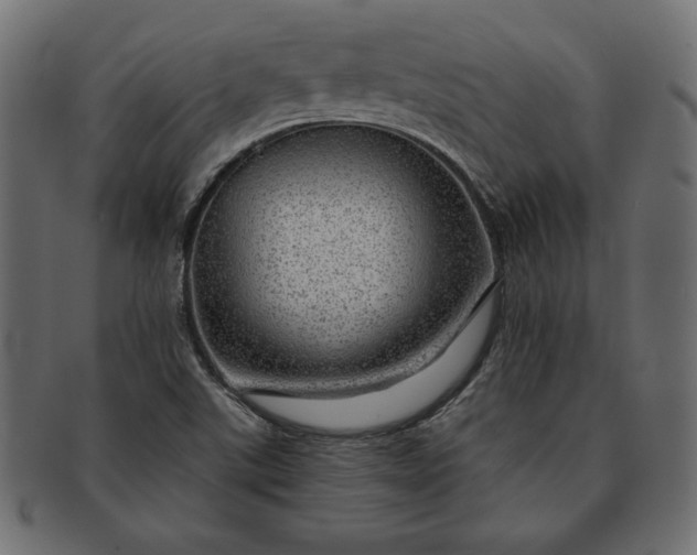 X0000091721507200709071423