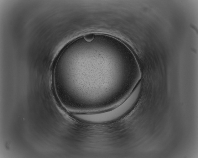 X0000091721511200709071424