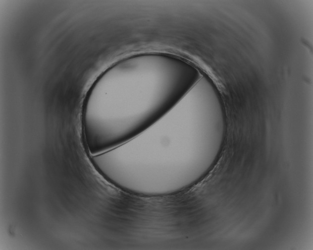 X0000091721512200709071424