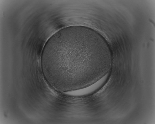 X0000091721513200709071424