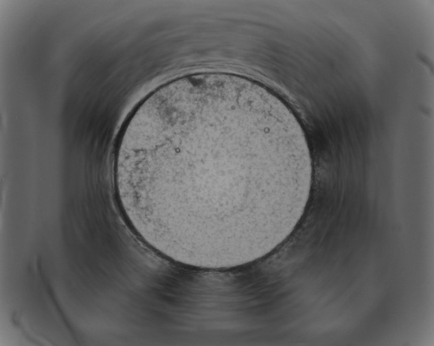 X0000091721514200709071424