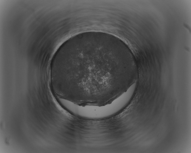 X0000091721515200709071424