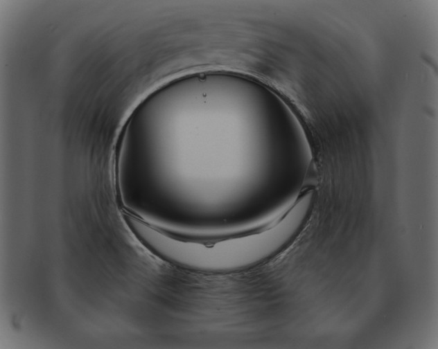 X0000091721516200709071424