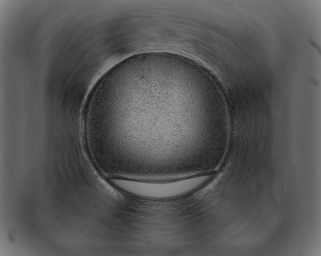 X0000091721517200709071424