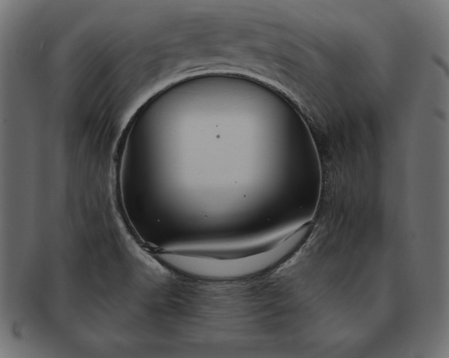 X0000091721518200709071424