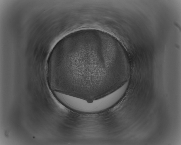 X0000091721519200709071424