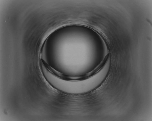 X0000091721520200709071424