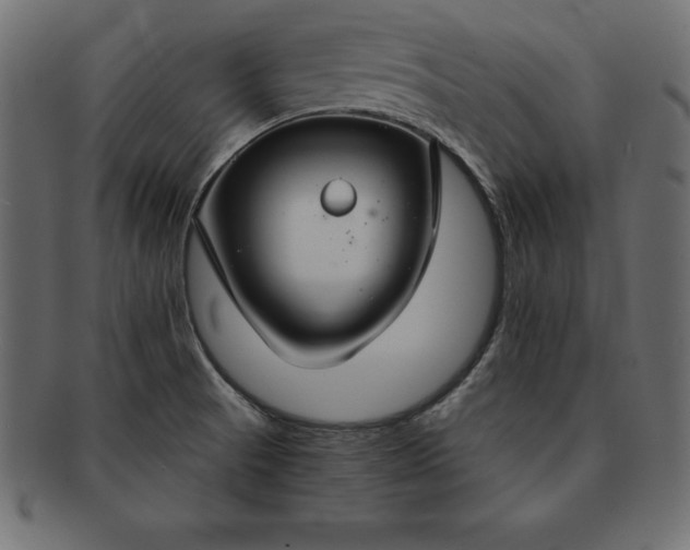 X0000091721521200709071424