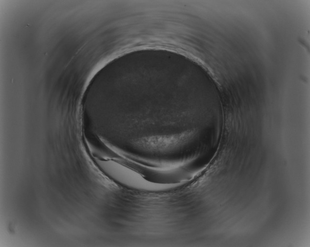 X0000091721522200709071424