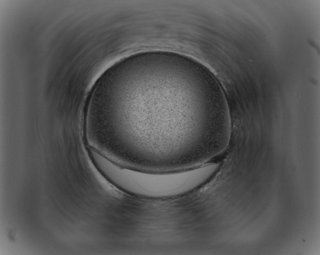 X0000091721523200709071424