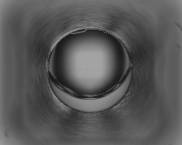 X0000091721524200709071424