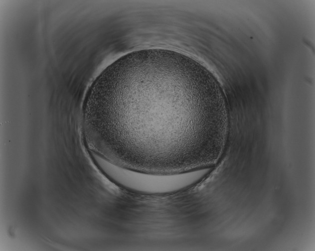 X0000091721525200709071424