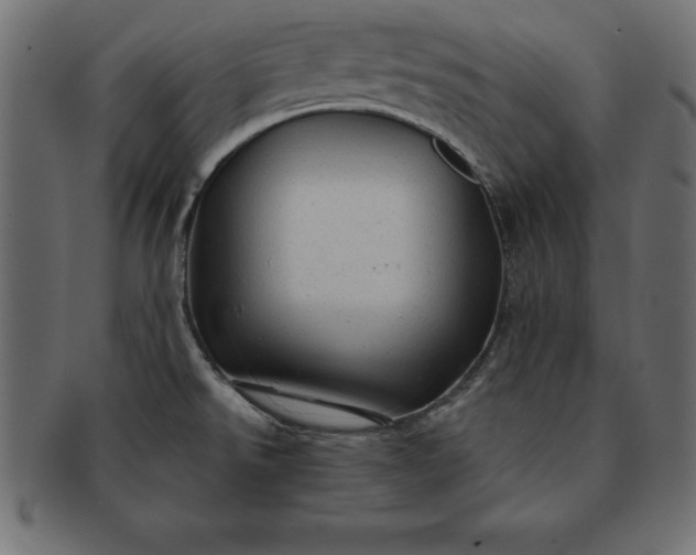 X0000091721526200709071424