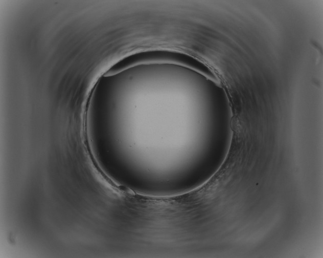 X0000091721528200709071424