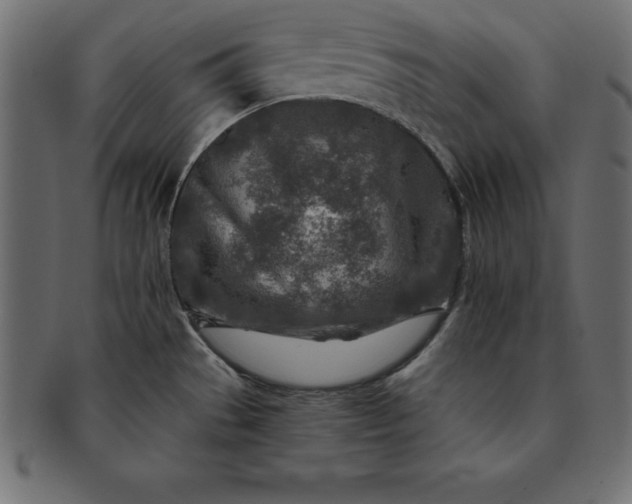 X0000091721529200709071424