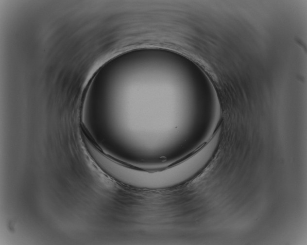 X0000091721530200709071424